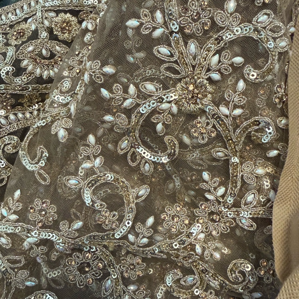 Elegant Gold Embroidered Saree - Picture 10 of 11